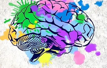 Avaliacao Neuropsicologica